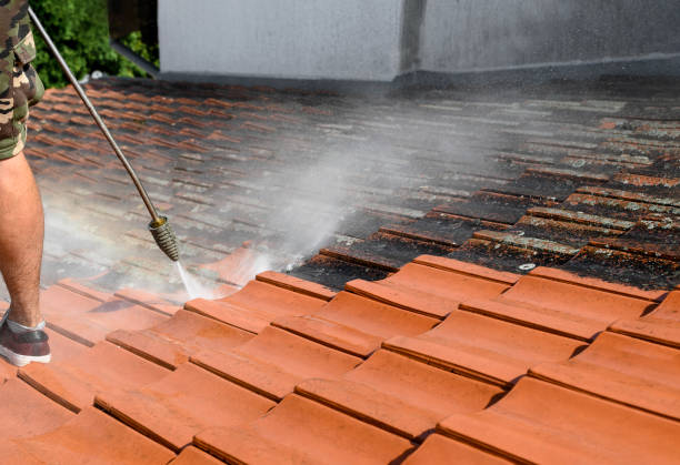 Best Local Pressure Washing Services  in West Dennis, MA